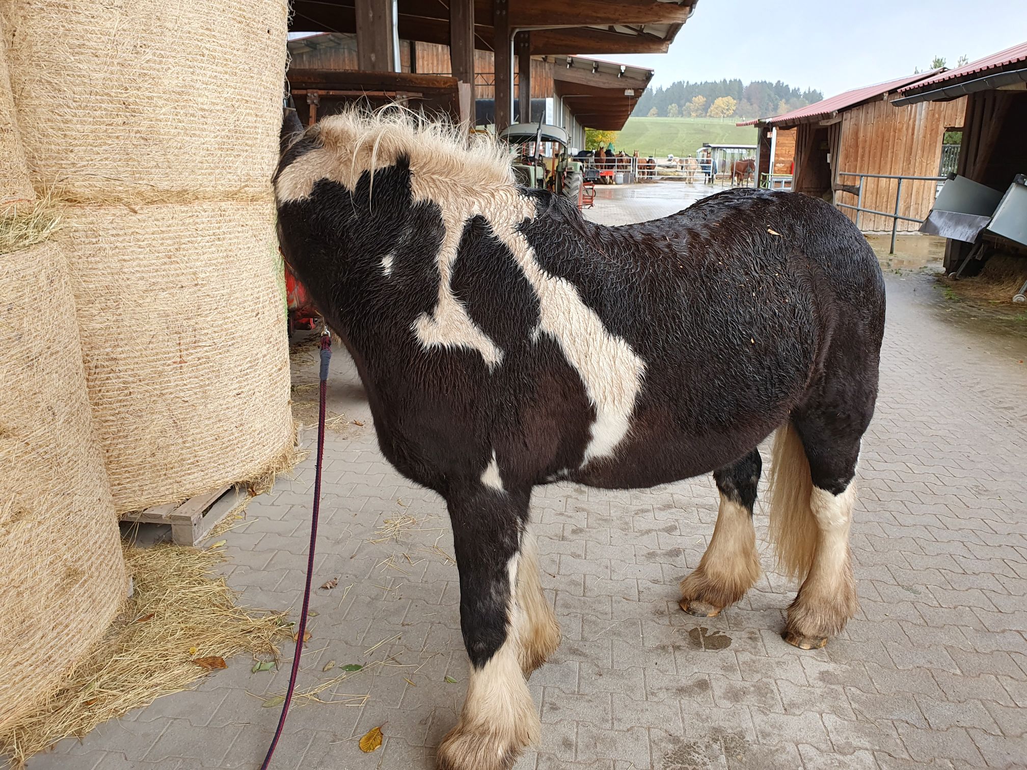 2023 11 November 596